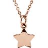 Picture of 14K Gold Petite Star 18" Necklace