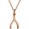 Picture of 14K Gold Petite Wishbone 18" Necklace