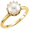 Picture of 14K Gold Freshwater Cultured Pearl Ring