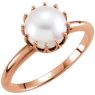 Picture of 14K Gold Freshwater Cultured Pearl Ring