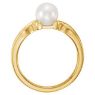 Picture of 14K Gold Freshwater Cultured Pearl Ring