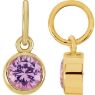 Picture of Posh Birthstone Charms