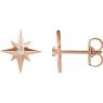 Picture of 14K White Accented Star Earring